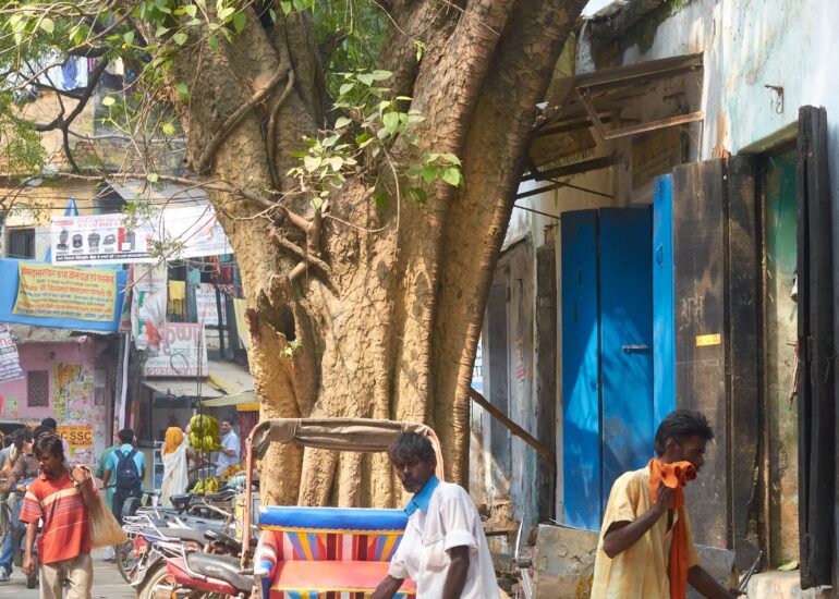 Rikshaw Bicycle repair