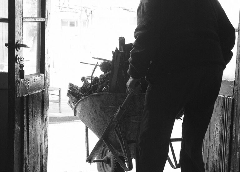 Gathering wood for the winter